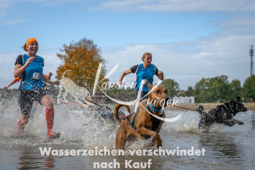 1228_ZZ92277 | kk-dogfotos