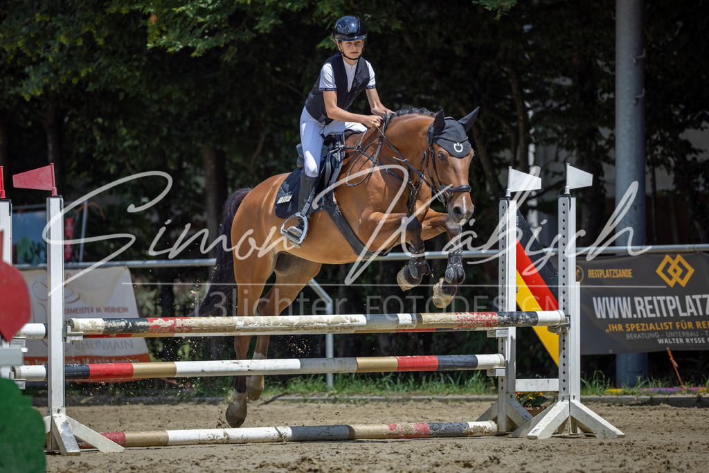 20260704-_3LI8586 | Tierfotografie Pferde, Hunde, Katzen, Haustiere.
Turnierfotografie Reitturniere, Reiten, Springreiten, Dressur in Hanau, dem Main-Kinzig-Kreis und dem Rhein-Main- Gebiet um Frankfurt
