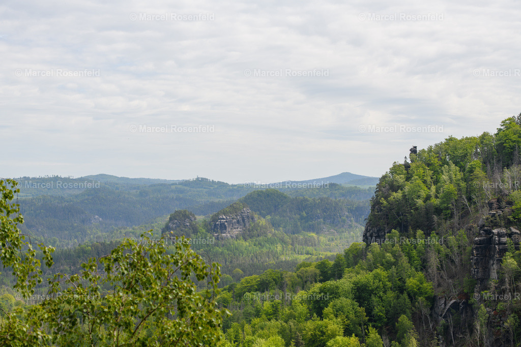 _DSC4985 (1) | foto-rosenfeld