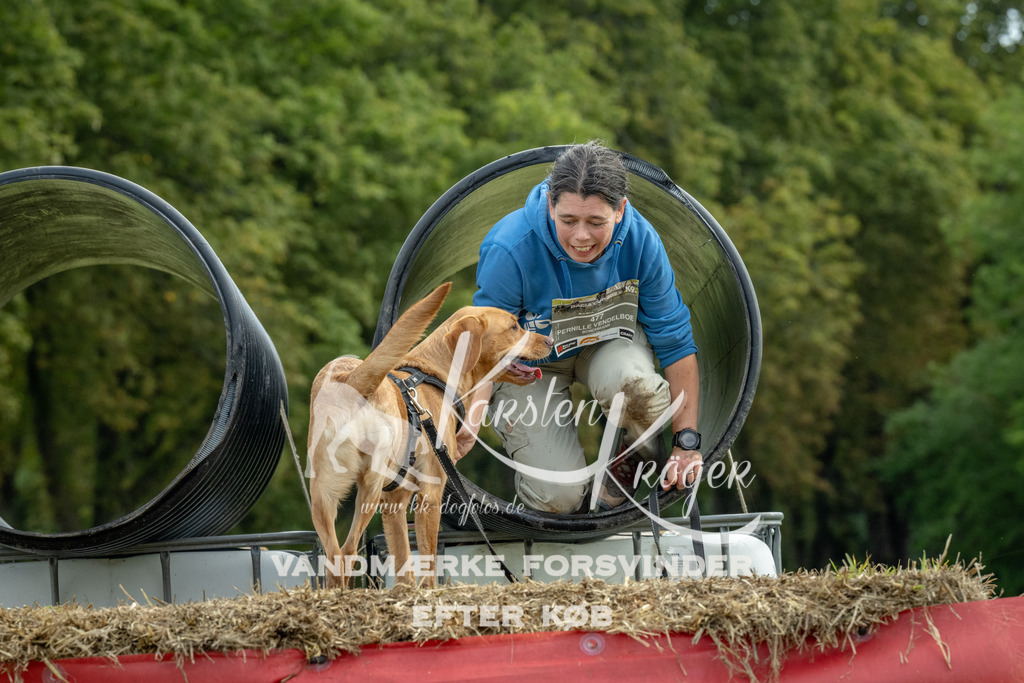 1042_ZZ92972 | kk-dogfotos