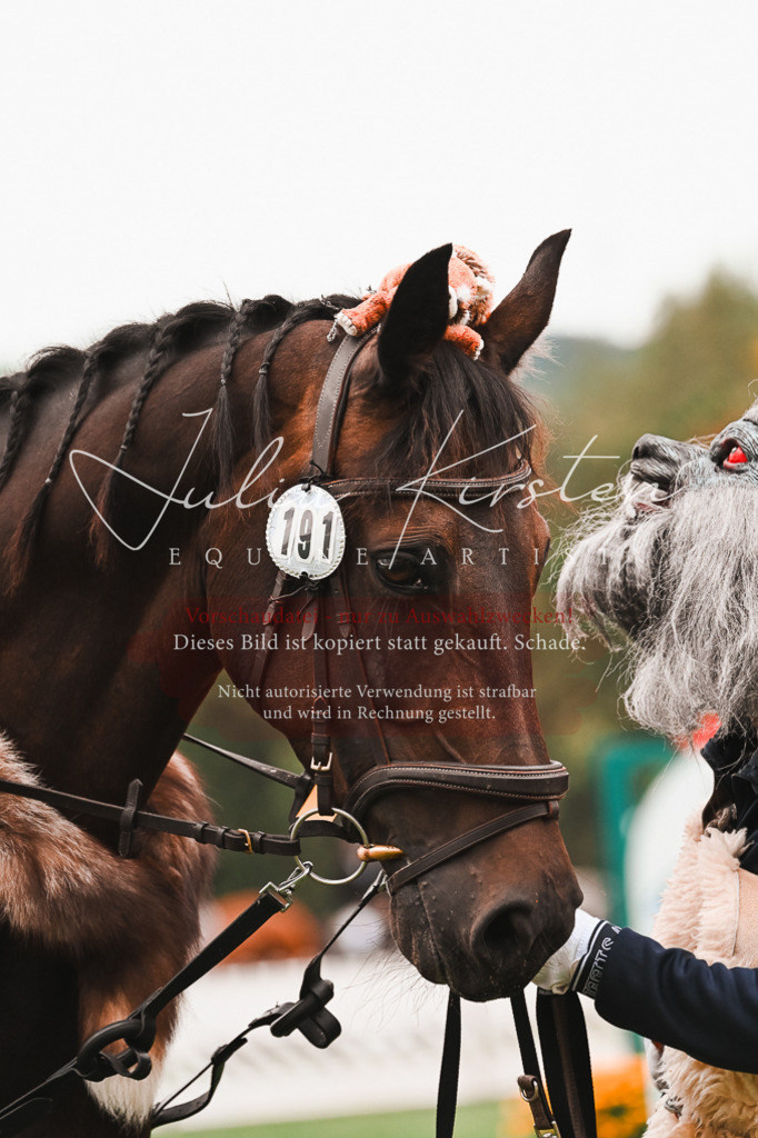 DSC_7714 | Pferde- und Turnierfotografie in Westsachsen. Pferdeportraits, Auftragszeichnungen und intuitive Kunst.