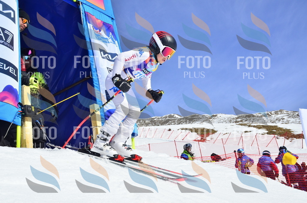 _ELE0639 | holidayphoto