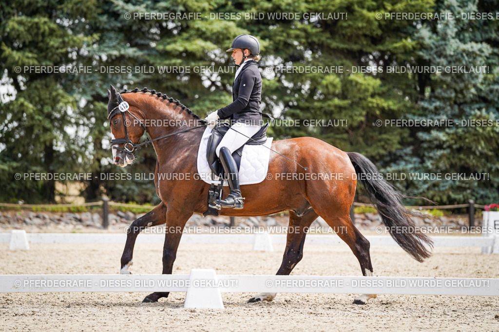 DSC00372 | Pferdegrafie