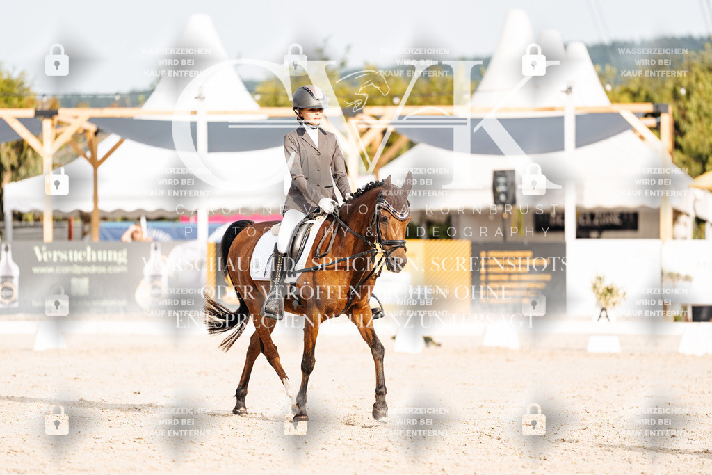 CK904029 | Turnierfotografie Pferdefotografie Trier Rheinland-Pfalz Pferdesport Reitsport Tierfotografie Sportfotografie Pferdevideo Pferdevideografie Equestrianvideography equestrianphotography  - Realisiert mit Pictrs.com