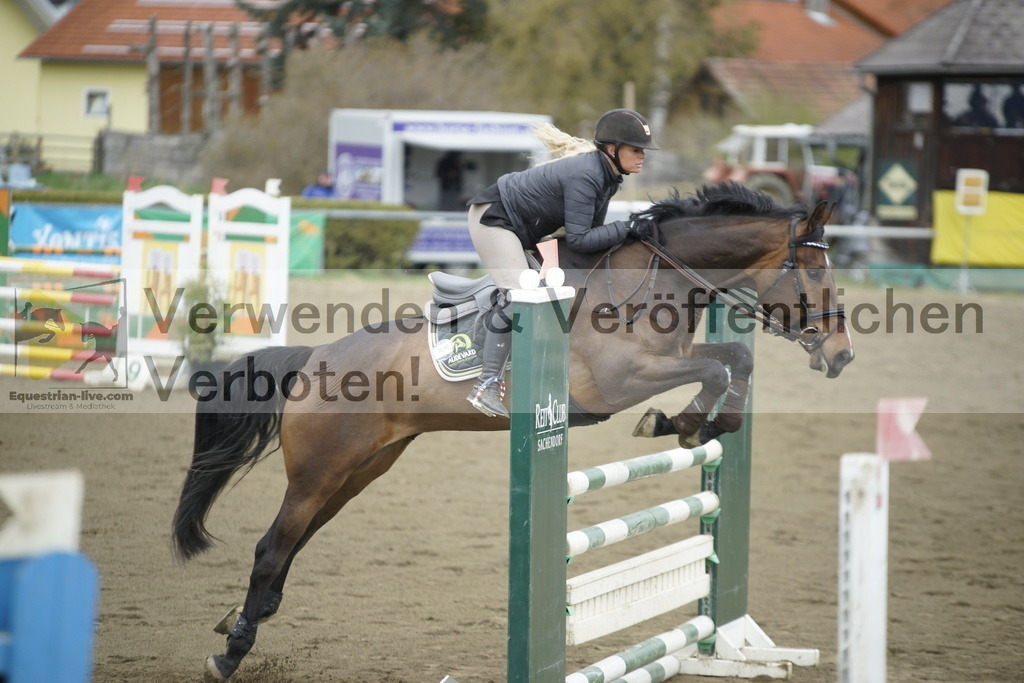 _DSC7181 | equestrian-live-com