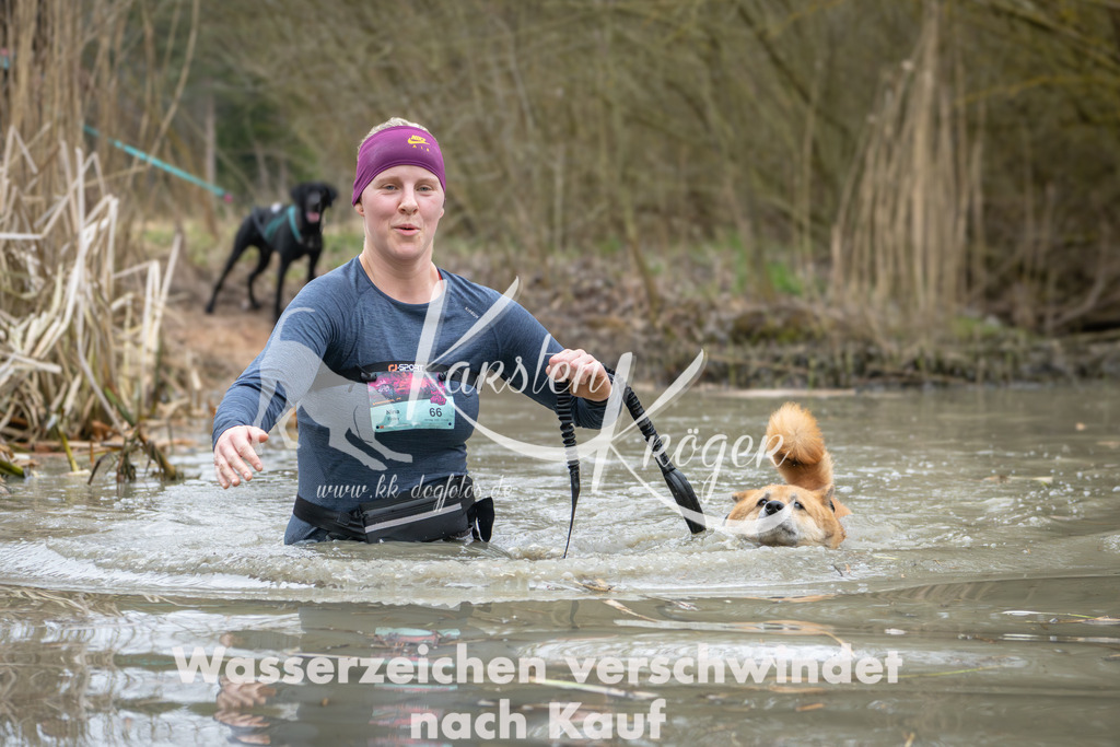 1340_ZZ91308 | kk-dogfotos