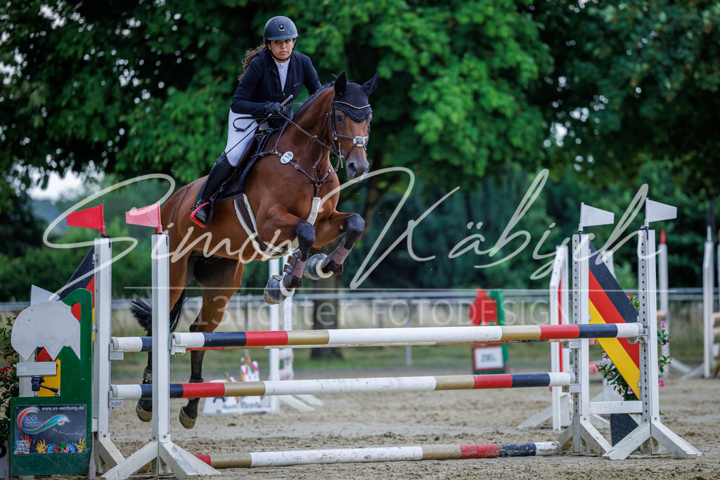 20260705-_3LI4528 | Tierfotografie Pferde, Hunde, Katzen, Haustiere.
Turnierfotografie Reitturniere, Reiten, Springreiten, Dressur in Hanau, dem Main-Kinzig-Kreis und dem Rhein-Main- Gebiet um Frankfurt