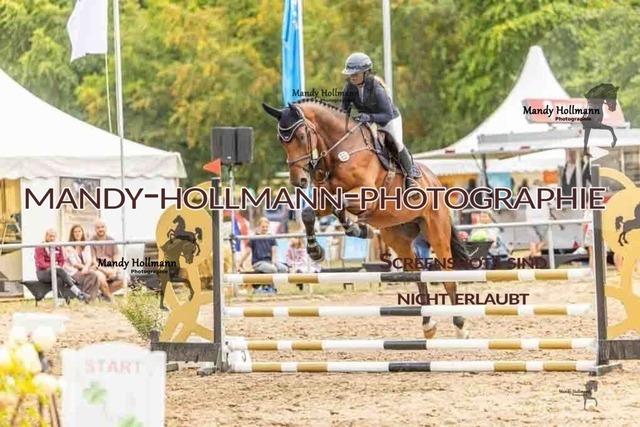 26-8-7 SPR A++-591 | mandyhollmannphotographie