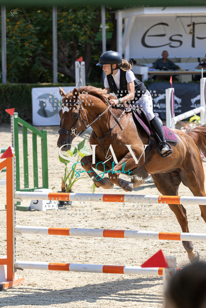 IMG_8100 | s-jay-photography - Realisiert mit Pictrs.com