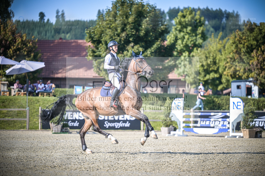 DOS_3938 | Entdecke hochwertige Reitturnierfotos von Foto Oger. Professionell, emotional und authentisch – jetzt Lieblingsmomente im Shop bestellen. - Realisiert mit Pictrs.com