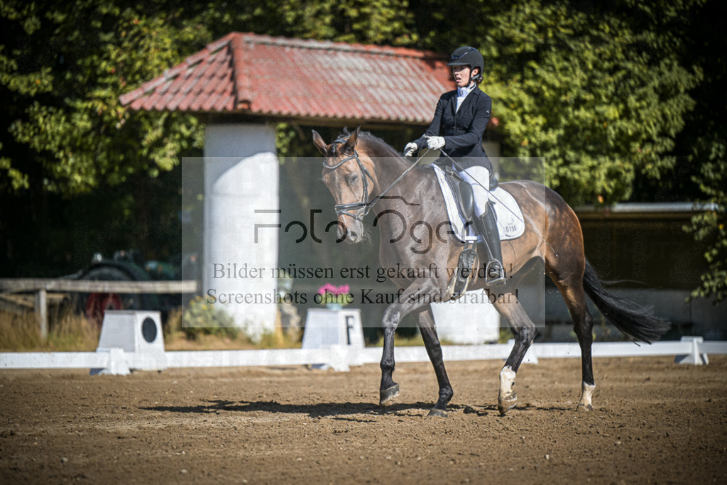 DOS_3397 | Entdecke hochwertige Reitturnierfotos von Foto Oger. Professionell, emotional und authentisch – jetzt Lieblingsmomente im Shop bestellen.Deutschlandweite Turnierfotografie. - Realisiert mit Pictrs.com