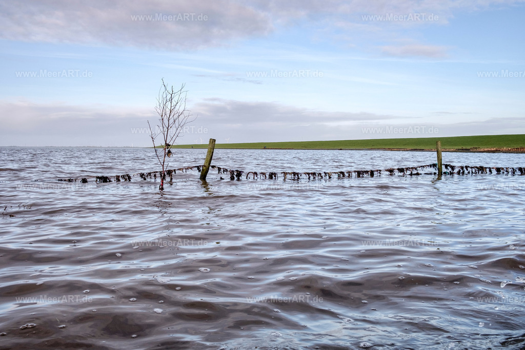 Schlüttsiel | Der 1959 erbaute Hafen Schlüttsiel im Kreis Nordfriesland - Realisiert mit Pictrs.com