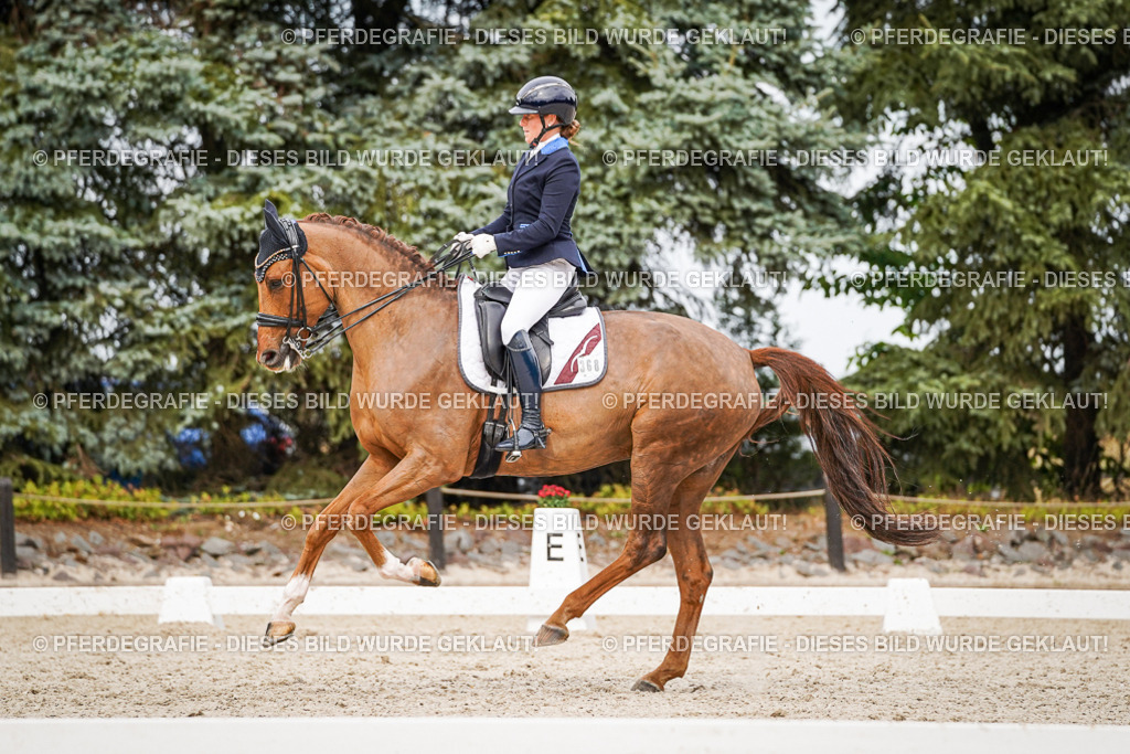 DSC07464 | Pferdegrafie