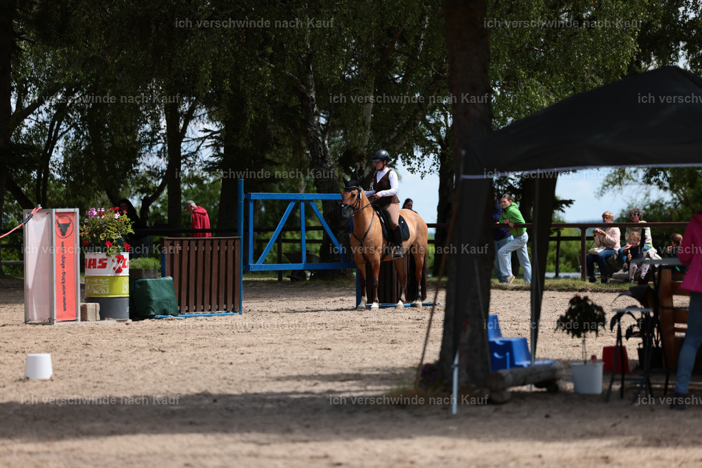 KlasseA_Stoibphotography_C2_L5742.JPG | working equitationturnier fotograf videograf stoibphotography marixx film working equitation deutschland reitsport turnierfotografie eventfotografie equestrian events