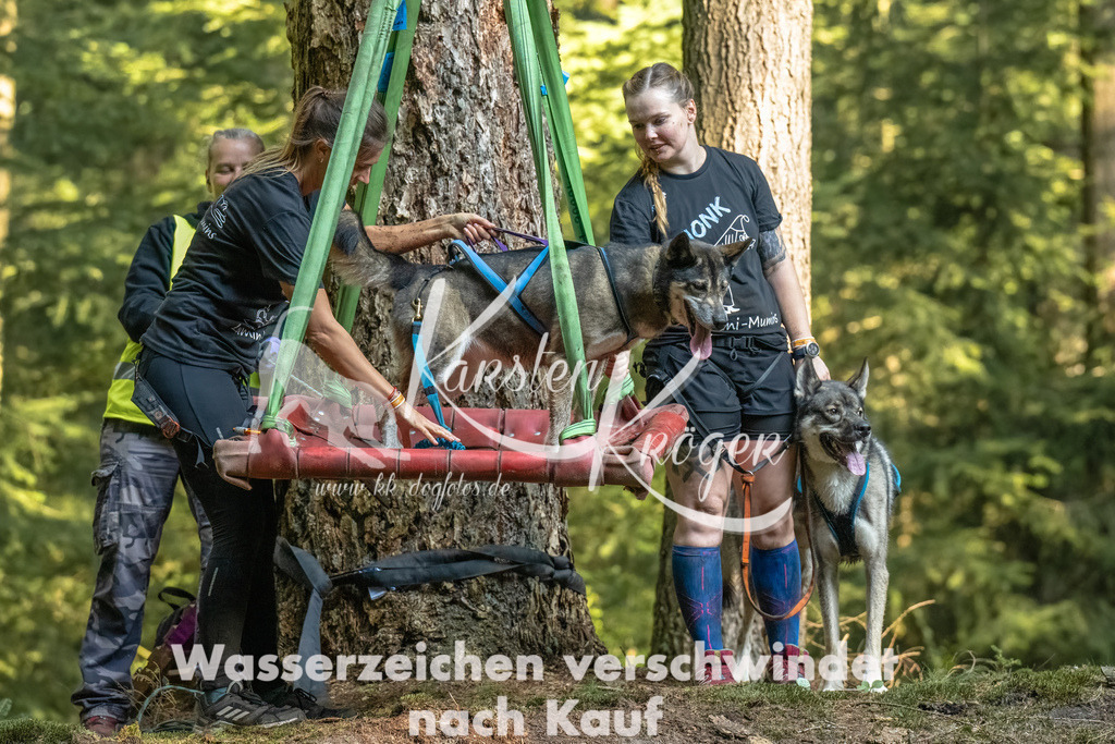 0941_ZZ91549-Bearbeitet | kk-dogfotos