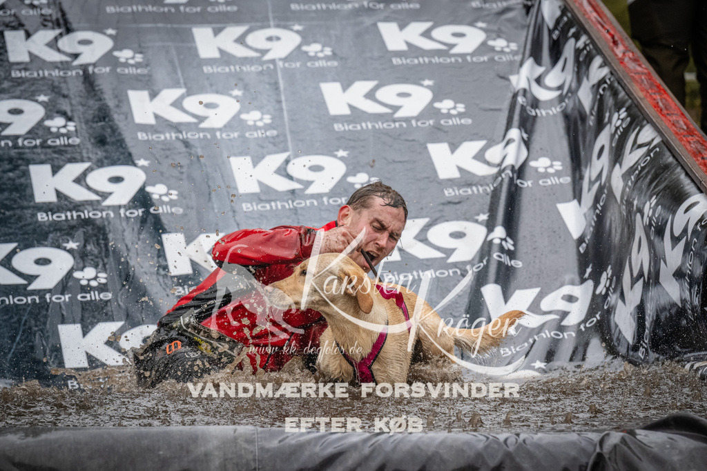 1103_ZZ91479 | kk-dogfotos