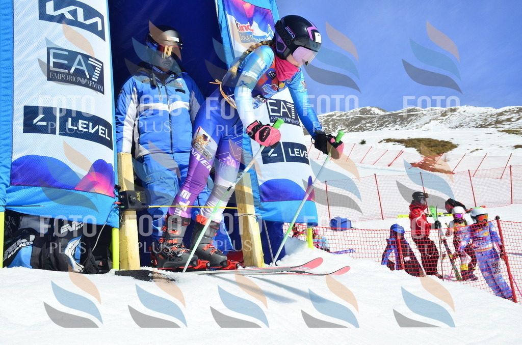 _ELE0804 | holidayphoto