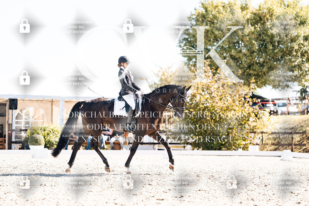 CK908965 | Turnierfotografie Pferdefotografie Trier Rheinland-Pfalz Pferdesport Reitsport Tierfotografie Sportfotografie Pferdevideo Pferdevideografie Equestrianvideography equestrianphotography  - Realisiert mit Pictrs.com