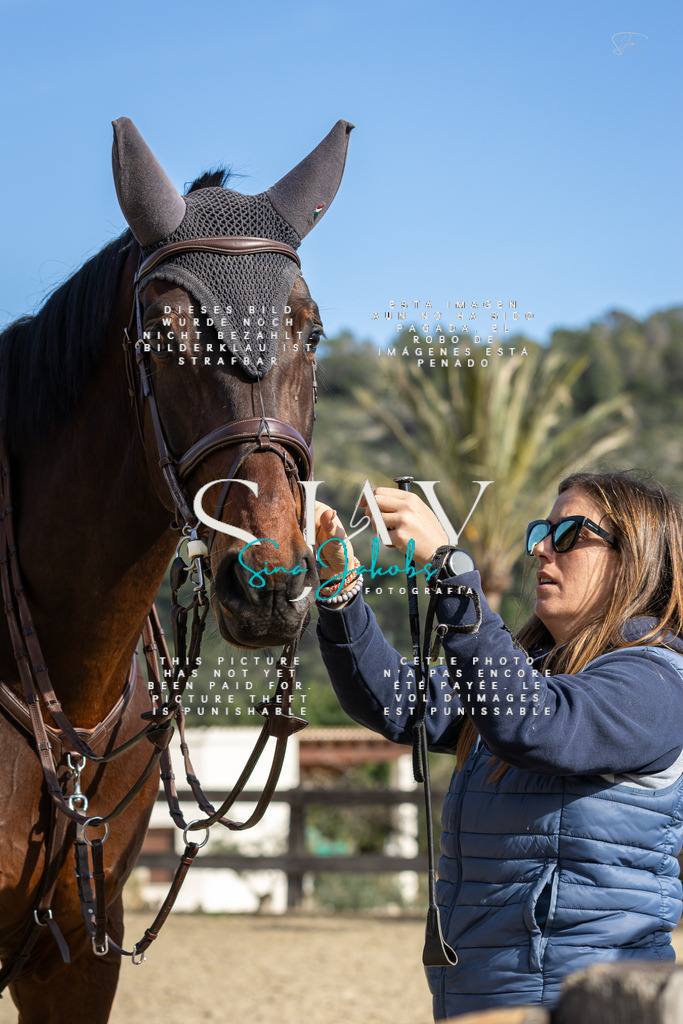 IMG_6852 | s-jay-photography - Realisiert mit Pictrs.com