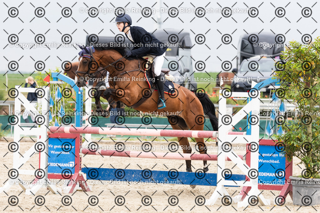 CL5A1931 | Emilia Reinking Fotografie - Realisiert mit Pictrs.com