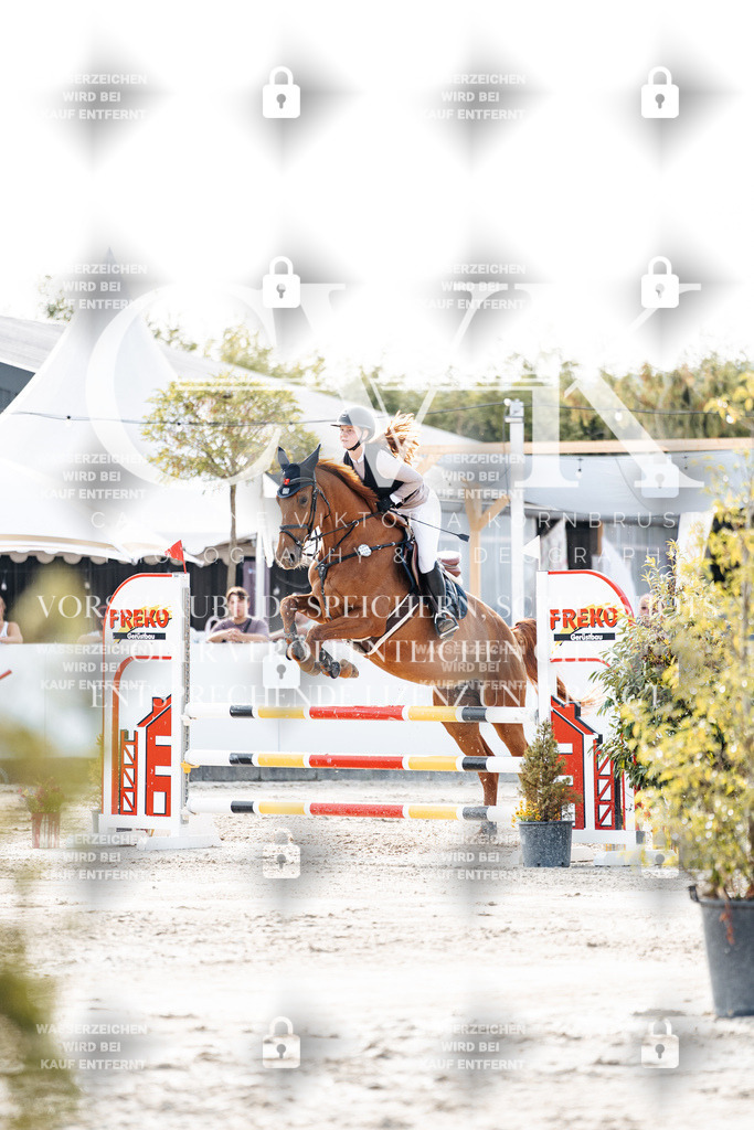 CK906339 | Turnierfotografie Pferdefotografie Trier Rheinland-Pfalz Pferdesport Reitsport Tierfotografie Sportfotografie Pferdevideo Pferdevideografie Equestrianvideography equestrianphotography  - Realisiert mit Pictrs.com