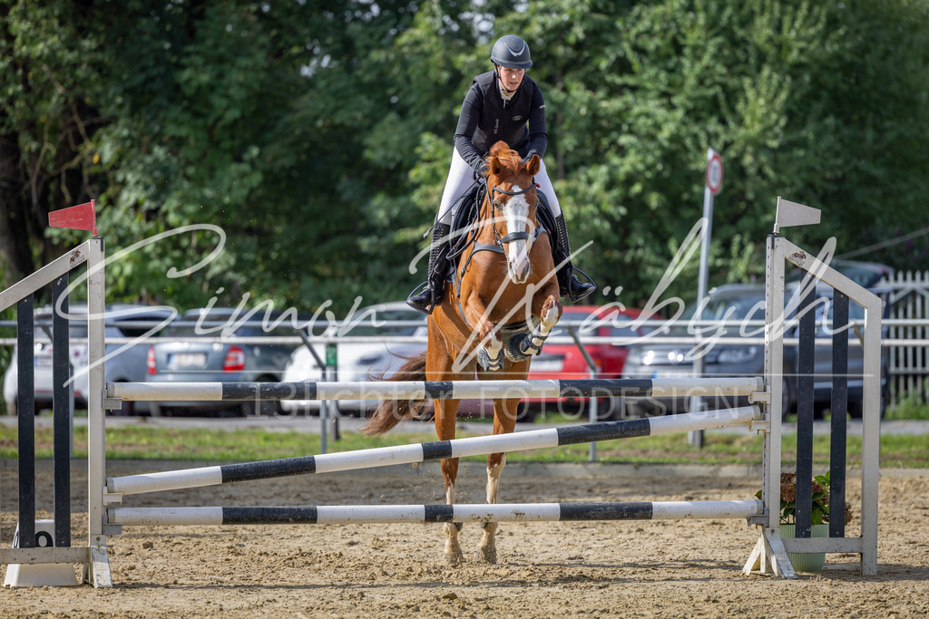20260905-_3LI7420 | Tierfotografie Pferde, Hunde, Katzen, Haustiere.
Turnierfotografie Reitturniere, Reiten, Springreiten, Dressur in Hanau, dem Main-Kinzig-Kreis und dem Rhein-Main- Gebiet um Frankfurt