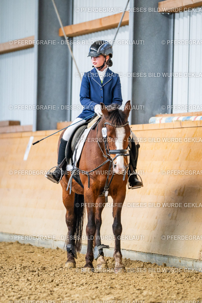 DSC02717 | Pferdegrafie