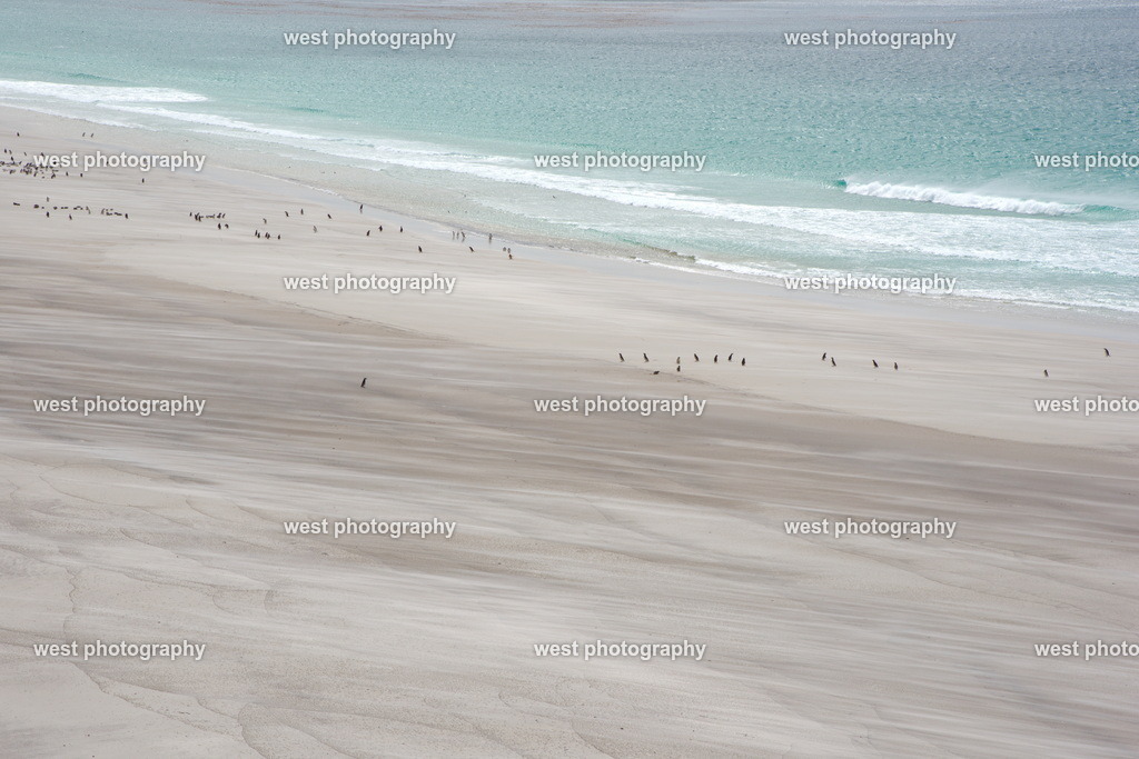 The Neck Beach 2 SND - FLK 2014 | west photography - Realisiert mit Pictrs.com