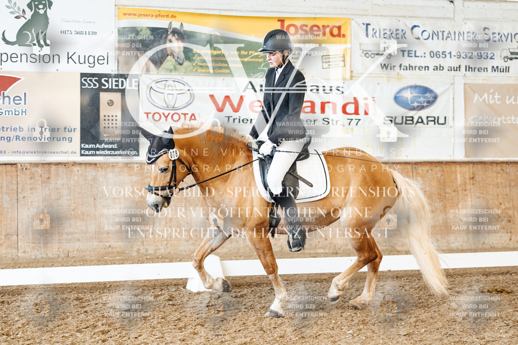CK900086 | Turnierfotografie Pferdefotografie Trier Rheinland-Pfalz Pferdesport Reitsport Tierfotografie Sportfotografie Pferdevideo Pferdevideografie Equestrianvideography equestrianphotography  - Realisiert mit Pictrs.com