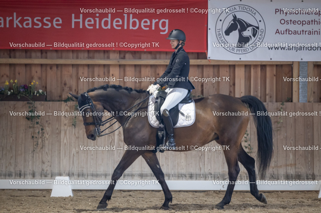 _D5A5206 | Emotionale Pferde- & People-Fotografie rund um Heidelberg, Leimen & Umgebung. Natürliche Fotos von Pferd, Mensch & Familie. Jetzt Termin sichern!