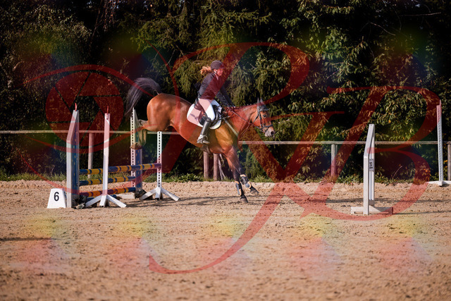 2026_10_03_Siefer-Hof_161057_Z81_90893155 | Professionelle Reitsport-, Turnier- und Eventfotografie von Robert Broda. Galerien mit ausgewählten und bearbeiteten Bildern direkt online ansehen und bestellen.