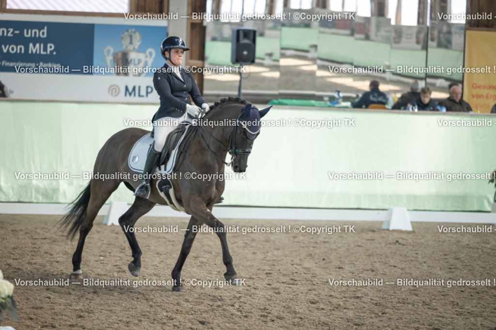 _D5A2856 | Emotionale Pferde- & People-Fotografie rund um Heidelberg, Leimen & Umgebung. Natürliche Fotos von Pferd, Mensch & Familie. Jetzt Termin sichern!