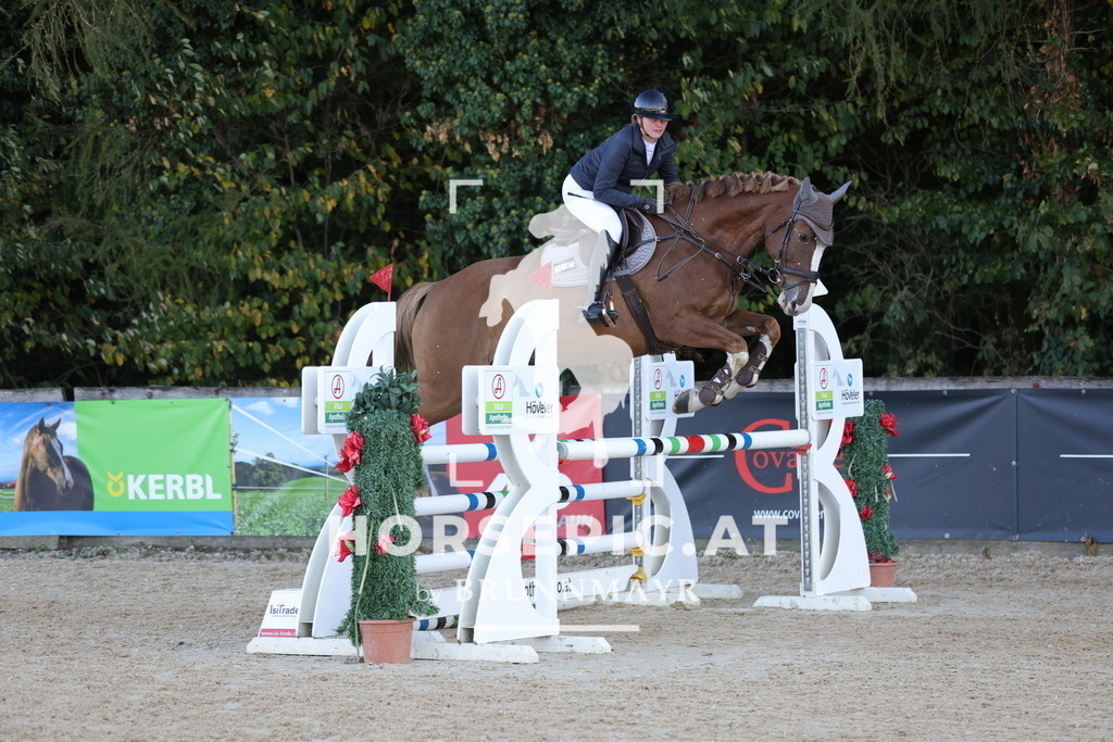 0P6A1950 | Willkommen bei Brunnmayr - Design & Fotografie – Ihrem Spezialisten für Reitturniere und Pferdeveranstaltungen in Oberösterreich, Salzburg und Bayern! Seit über 17 Jahren sind wir leidenschaftlich dabei.