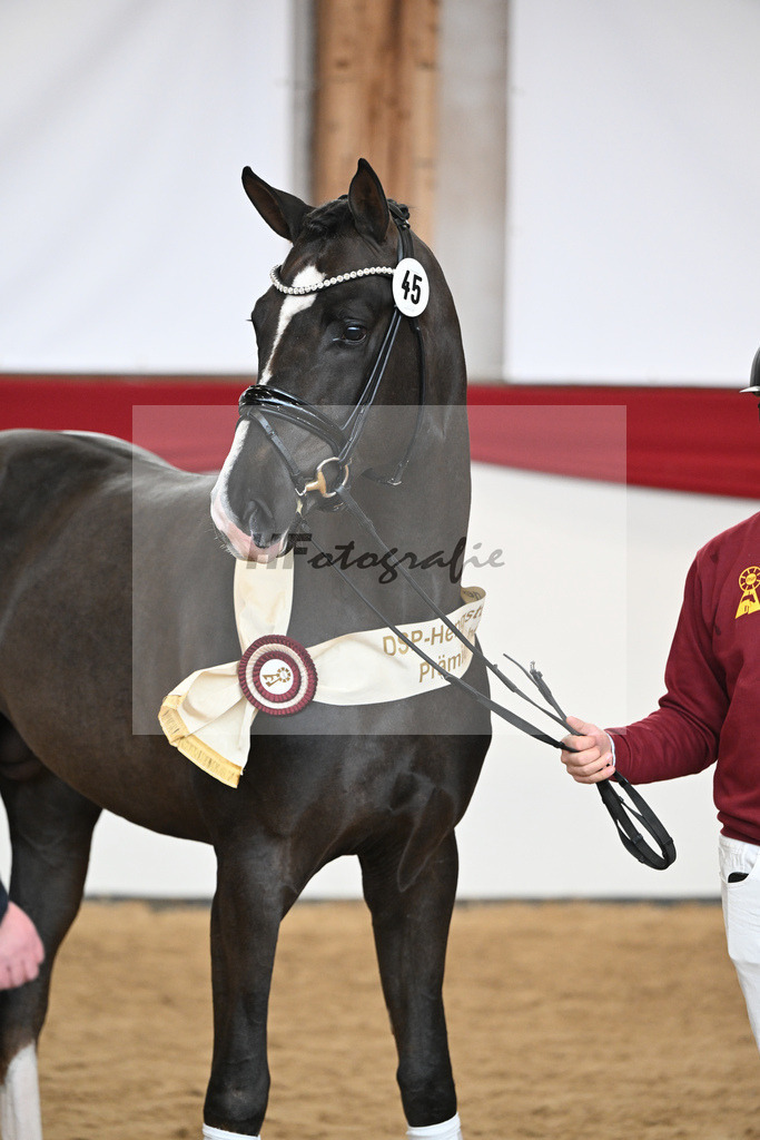 Kat.-Nr. 45 v. Bonds_Schafhof_2252054 | hf-fotografie - Realisiert mit Pictrs.com