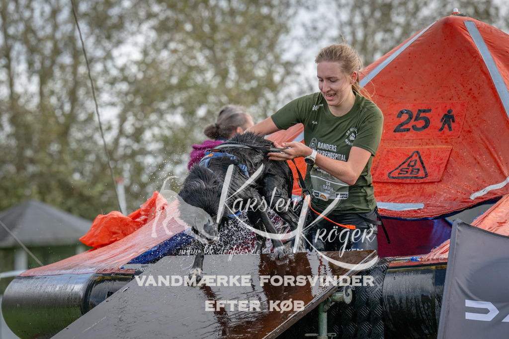 1222-93506 | kk-dogfotos
