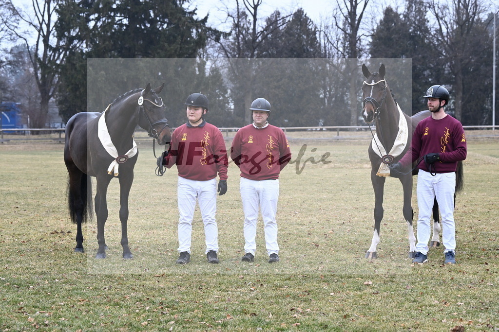Kat.-Nr. 22 v. Heartbreaker_Laue_Kat.-Nr. 14 v. Cornet_s Balou (Balou du Reventon Z)_Keitel und Laue_3265816 | hf-fotografie - Realisiert mit Pictrs.com