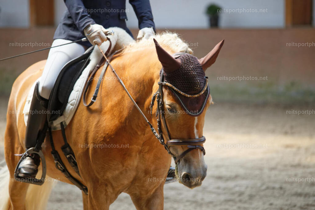 JHE_2119 | JoYa Fotografie - Realisiert mit Pictrs.com