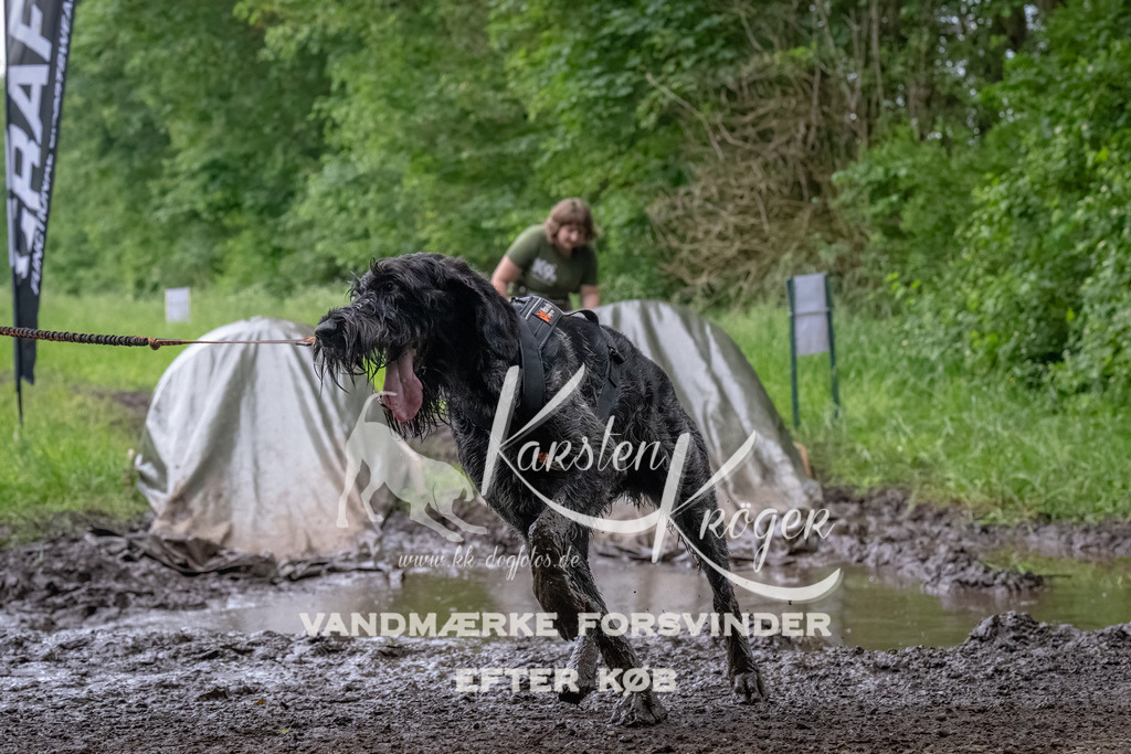 1603_ZZ91992-Bearbeitet | kk-dogfotos