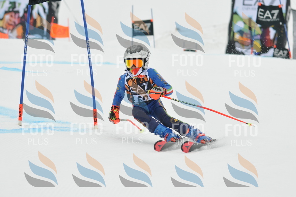 DSC_7793 | holidayphoto