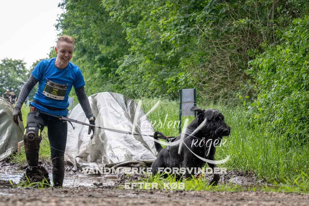 1113_ZZ91869 | kk-dogfotos