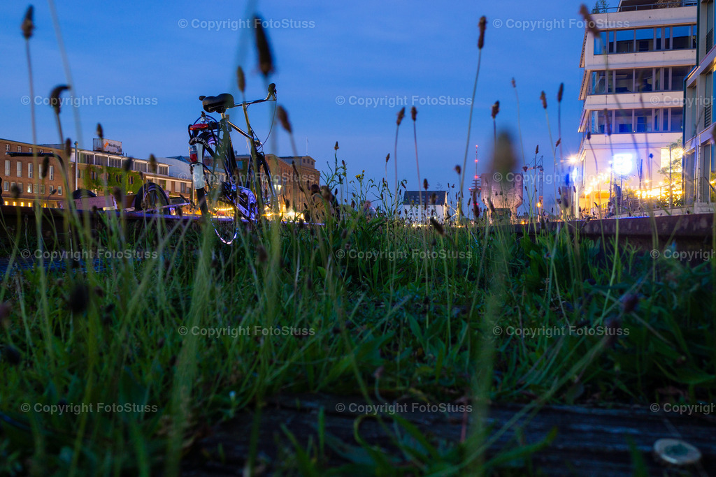 Bewachsene Promenade am Hafen Münster | Die bewachsenen alten Gleise am Hafen von Münster Westfalen. - Realisiert mit Pictrs.com