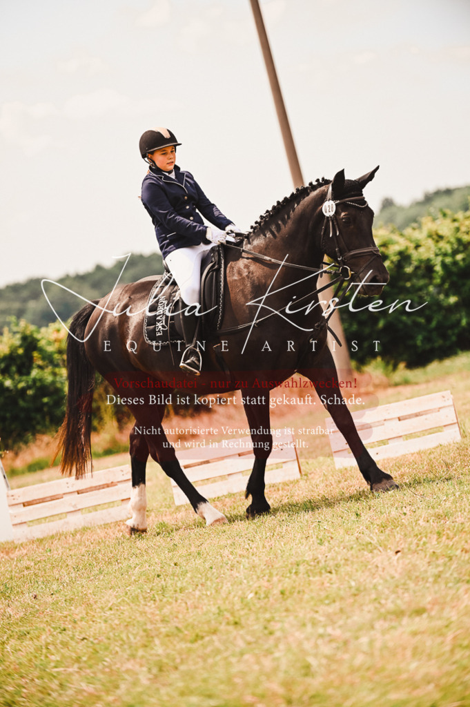 DSC_6356 | Pferde- und Turnierfotografie in Westsachsen. Pferdeportraits, Auftragszeichnungen und intuitive Kunst.