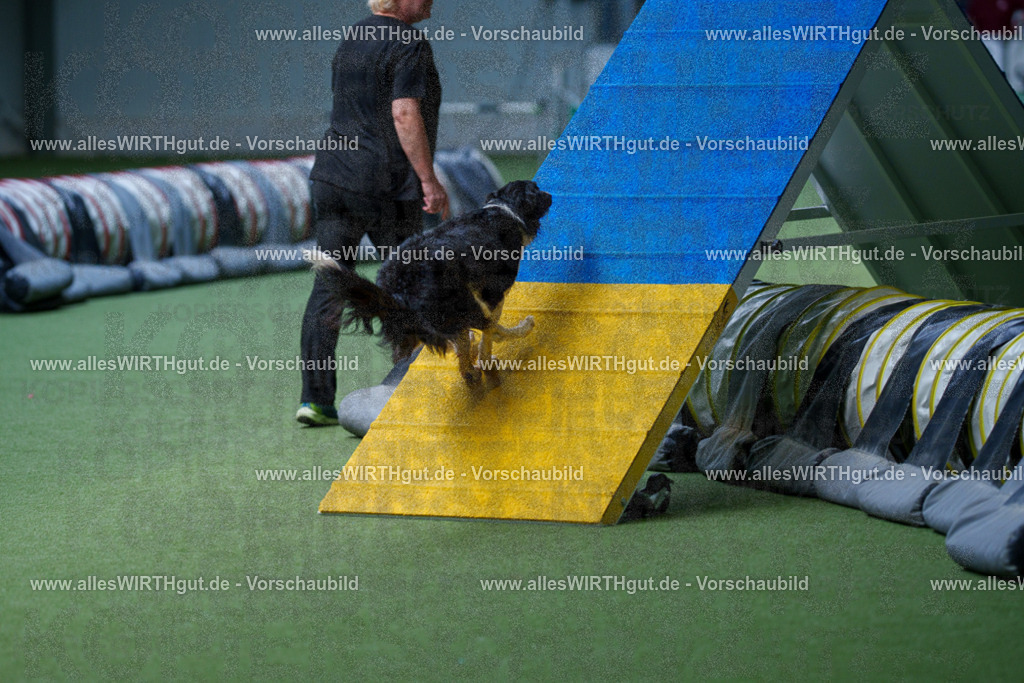 @allesWIRTHgut_Tierfotografie - www.allesWIRTHgut.de - 2604251231-7R502003 | Professionelle Tierfotografie in Mönchengladbach von Daniel Wirth (allesWIRTHgut). Liebevolle & natürliche Bilder von Hunden & Katzen für unvergessliche Erinnerungen.