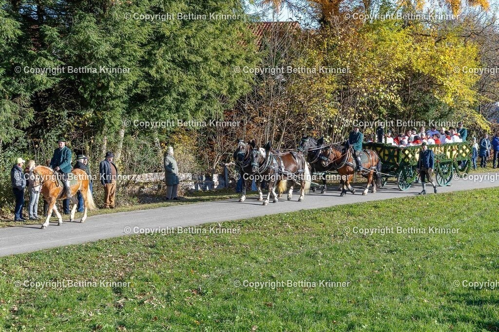 LBT25-37 | foto-bettina-krinner - Realisiert mit Pictrs.com
