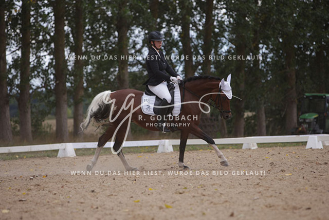 1J2A0963Charlotte Fehr_ Ikon 16_ Kn061_ Wöpkendorf_ Annalena Beier_ Quinn M_ Kn095 | Foto- und Videografie für alles rund ums Pferd. Hochwertige Bilder und Videos vom Spring- und Dressurreiten, Voltigieren & mehr. Jetzt aktuelle Veranstaltungen und Preise im Shop ansehen. - Realisiert mit Pictrs.com