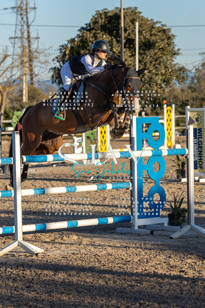 IMG_2874 | s-jay-photography - Realisiert mit Pictrs.com