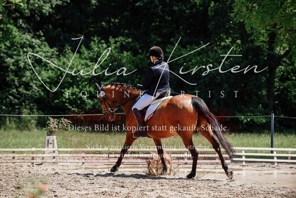 DSC_2008 | Pferde- und Turnierfotografie in Westsachsen. Pferdeportraits, Auftragszeichnungen und intuitive Kunst.