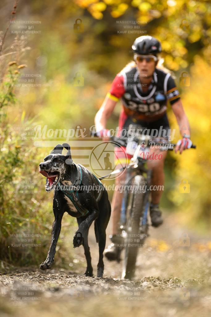 MompixPhotography_ICF_WC_2024_SA_Bike_-388 | PayLife