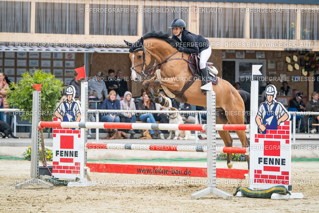 DSC01991 | Pferdegrafie