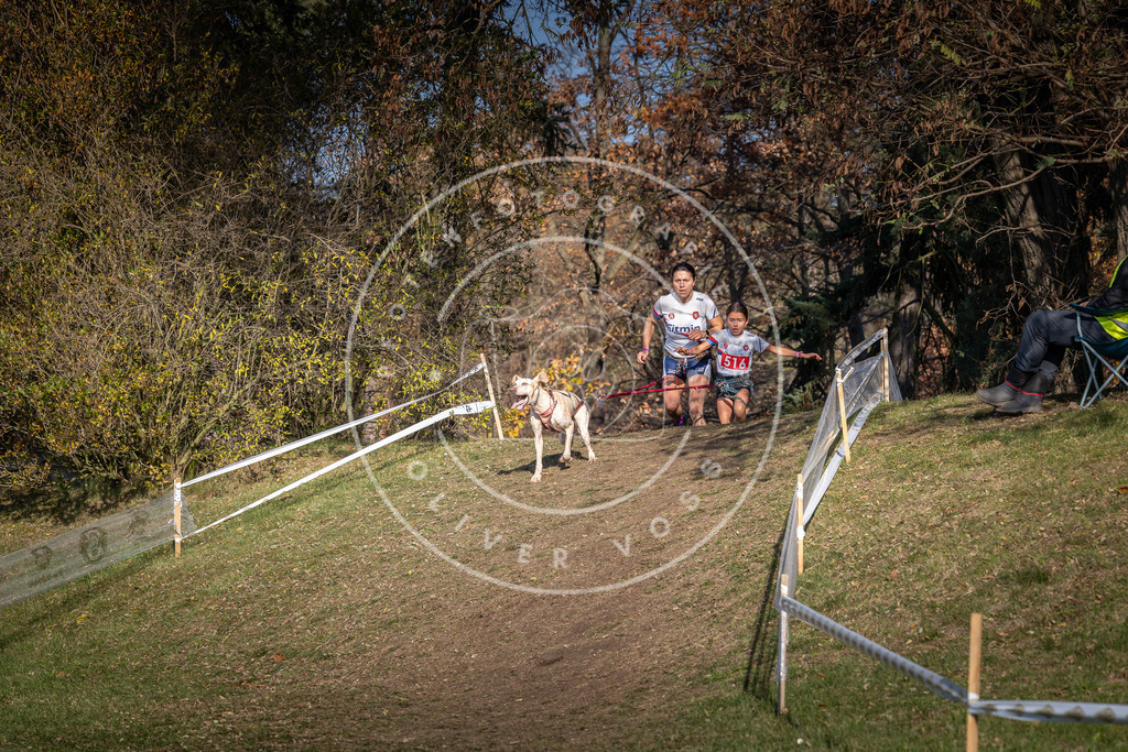CaniXpix_0L8A8559 | Hundefotografie, Tierfotograf, Pfotenfotografie, Fotoshooting Hund, Hunde Portrait, Hundesport, Hundeportraits, Heideshooting, Hunde, Sportfotograf, Hundefotograf, Turnierhundsport, THS,  - Realisiert mit Pictrs.com